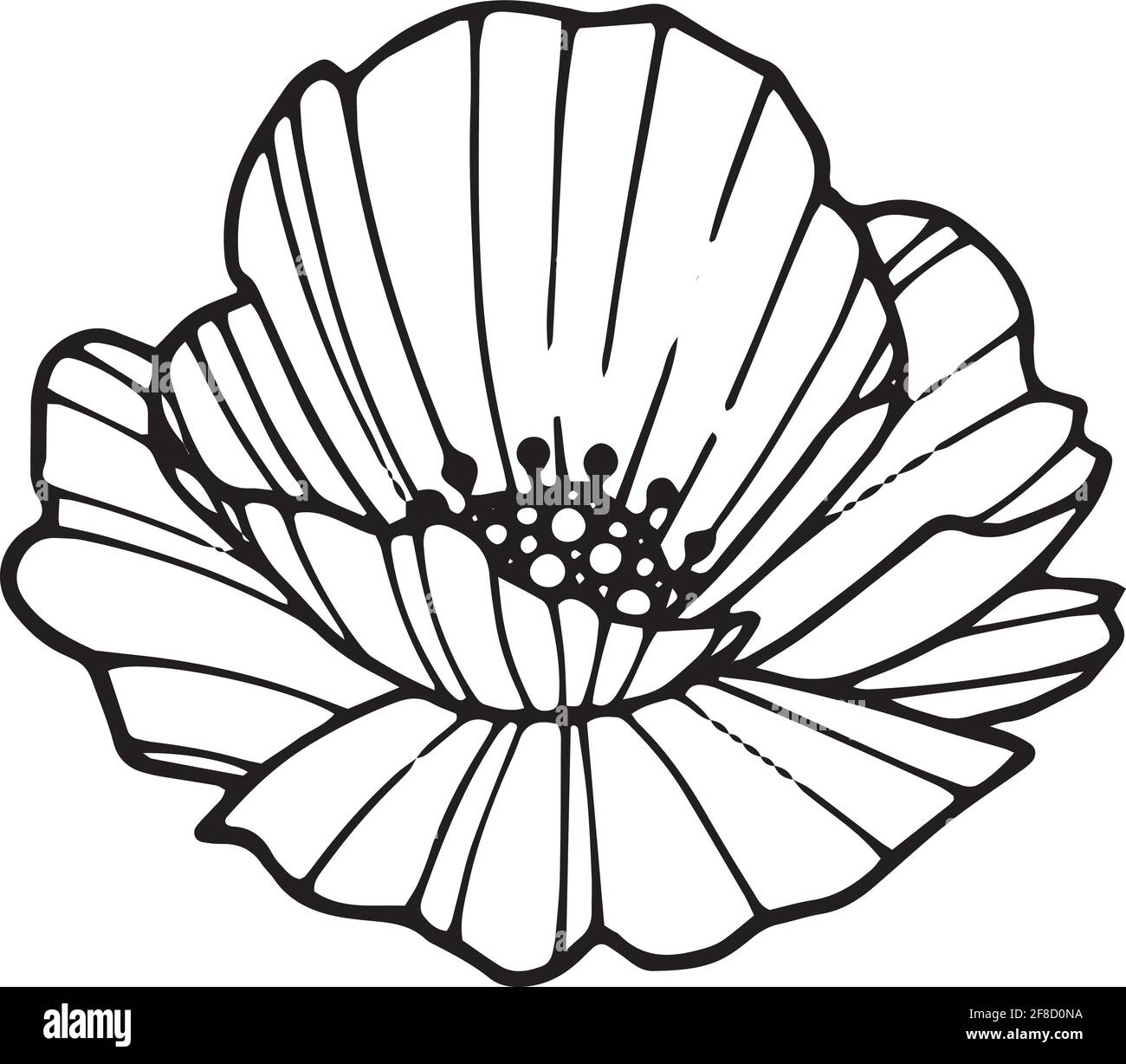 Icône représentant un coquelicot de forêt, dessin à la main et style de contour Illustration de Vecteur