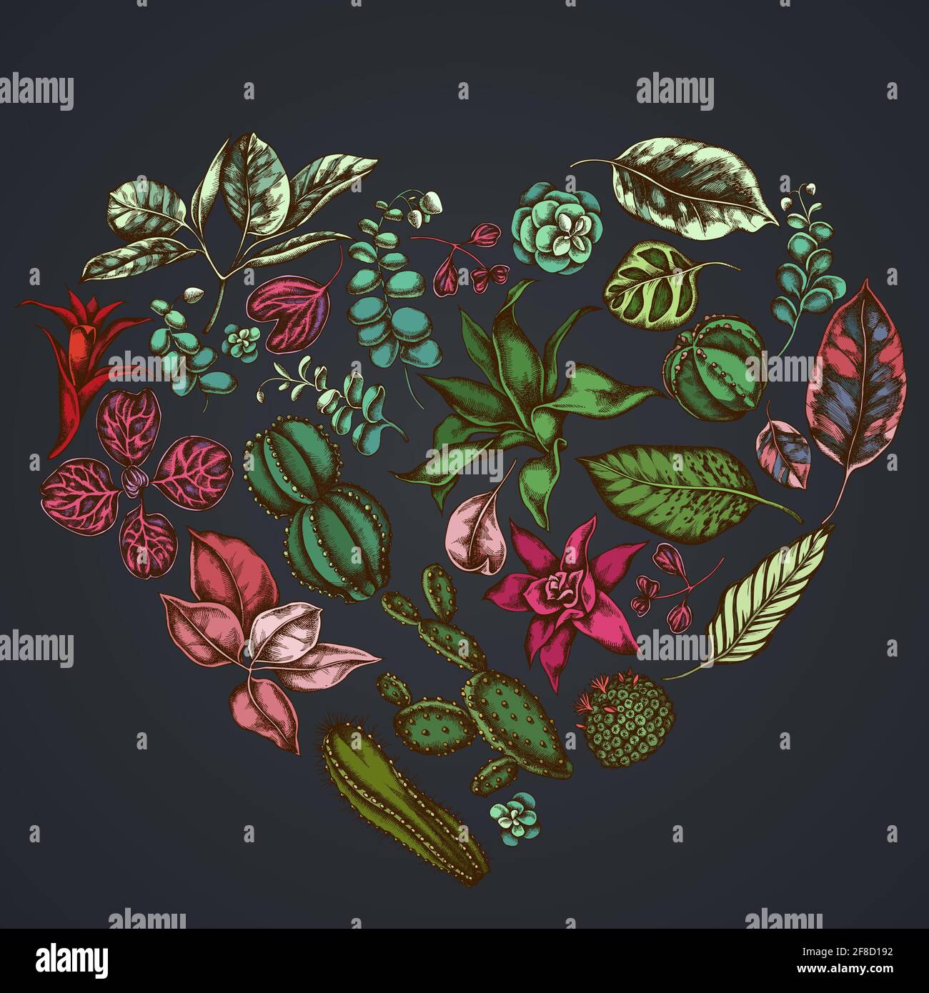 Motif coeur fleuri sur fond sombre avec ficus, iresine, kalanchoe, calathea, guzmania, cactus Illustration de Vecteur