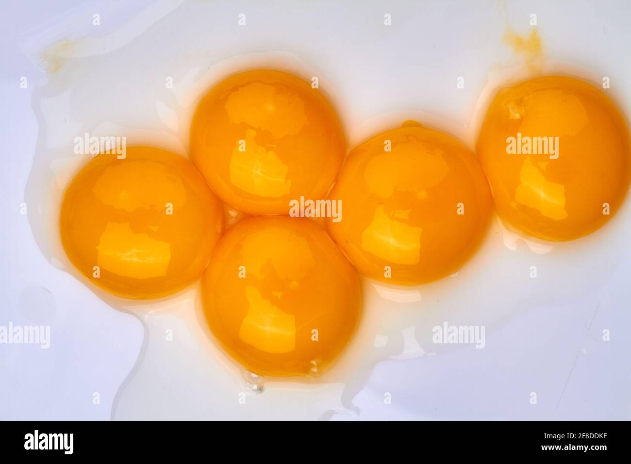 Gros plan sur des jaunes d'œufs de poulet brillants. Banque D'Images