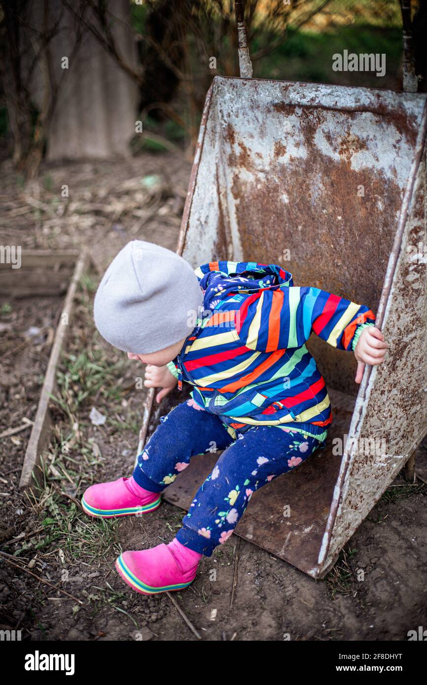 Adorable petite fille assise dans une brouette à la ferme. Agriculture et jardinage pour les petits enfants. Activités d'été en plein air pour les petits enfants Banque D'Images