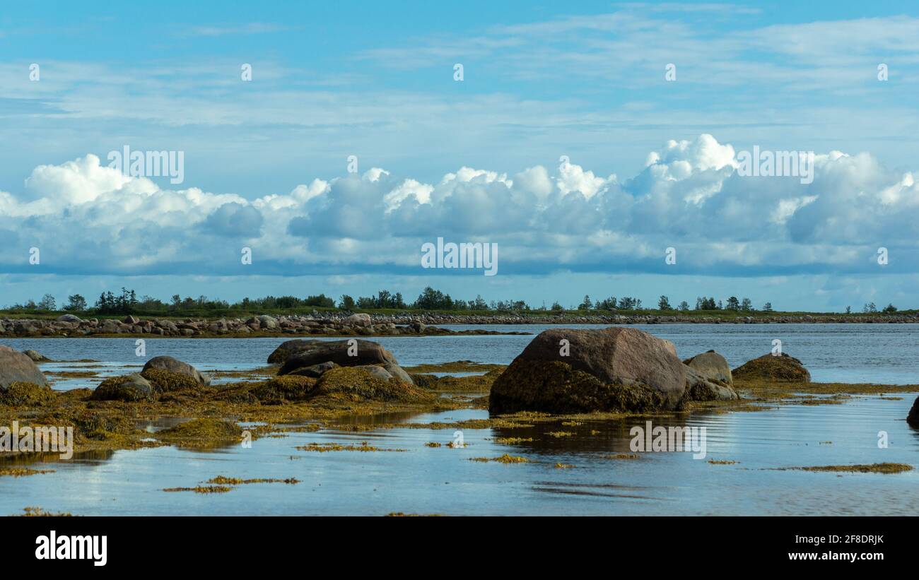 Paysage marin, nuages bas, rochers, rochers, algues, côte. Russie, Mer Blanche. Banque D'Images