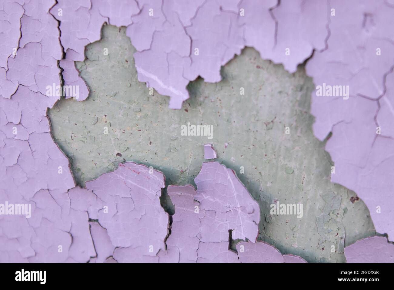 Peinture à l'huile mauve fissurée sur la surface métallique usagée. Texture crépitante et froide. Répétition fracturée. Peinture écaillée sur le mur. Banque D'Images