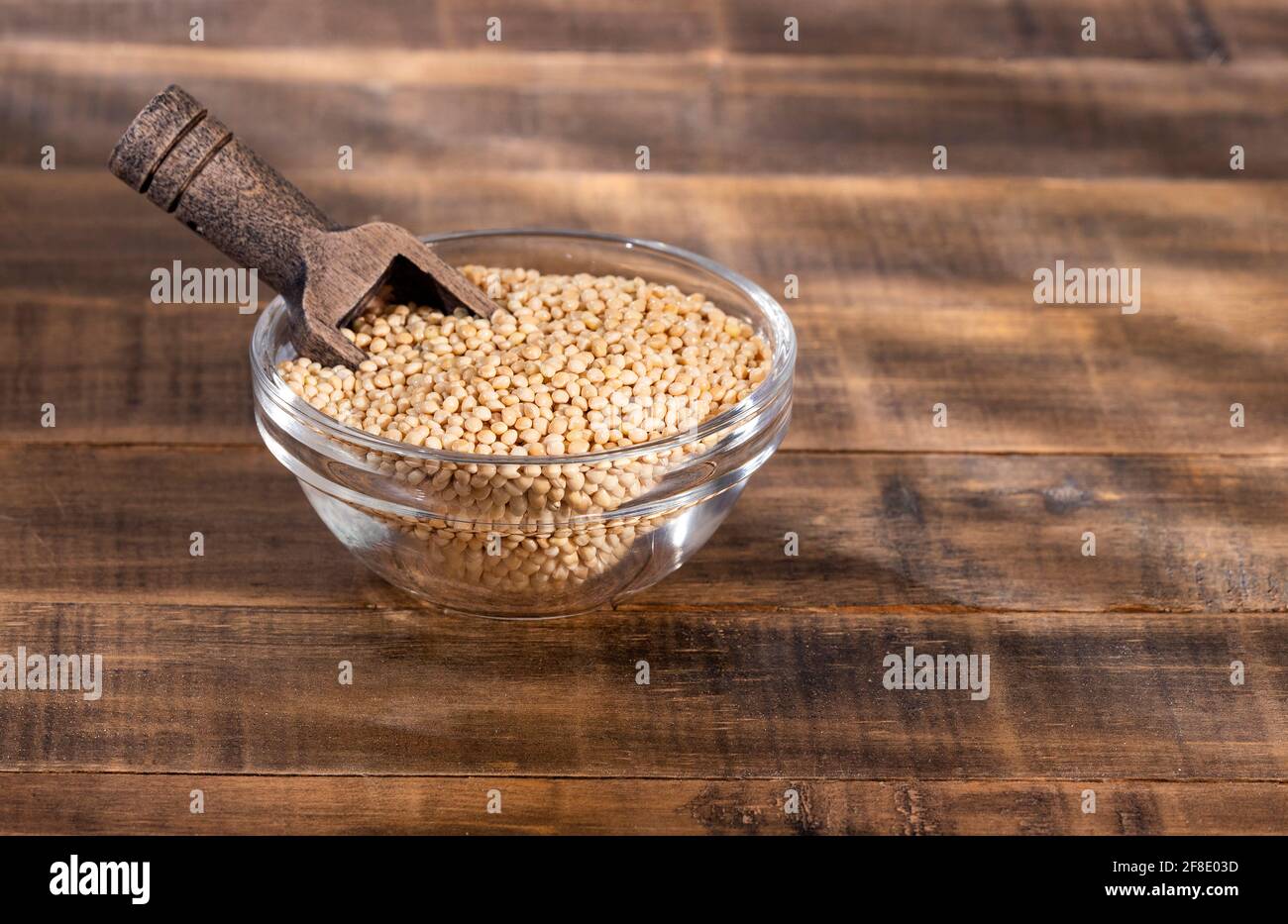 Graines de mil blanc bio - Panicum miliaceum Banque D'Images