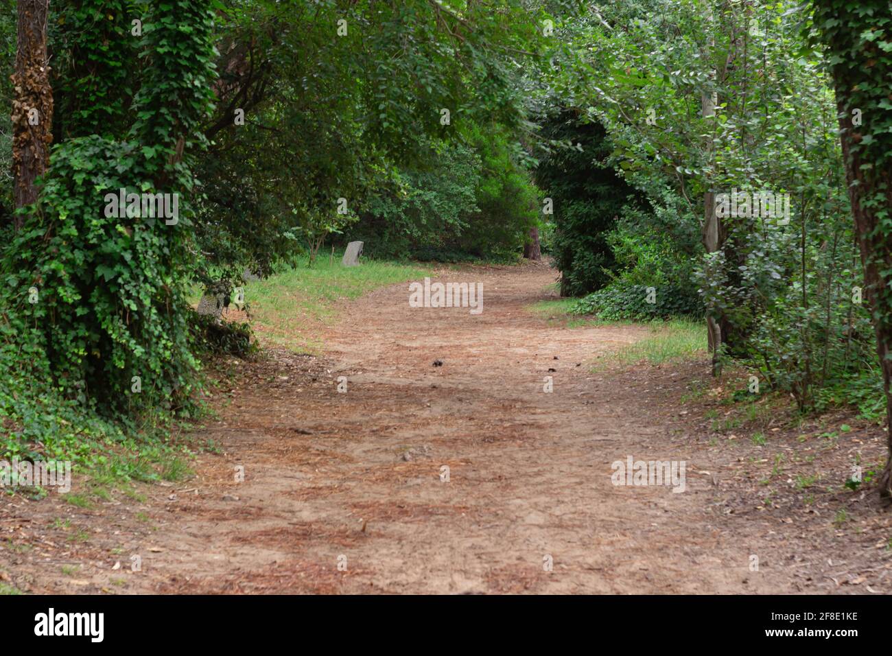 Rue de terre sans personnes ou voitures. Banque D'Images