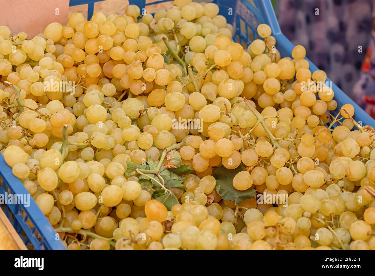 Raisins verts sur le marché. Fond de grappes mûres de raisins blancs. Plein format, vue de dessus. Arrière-plan texturé. Vitamines, nutrition appropriée. TH Banque D'Images