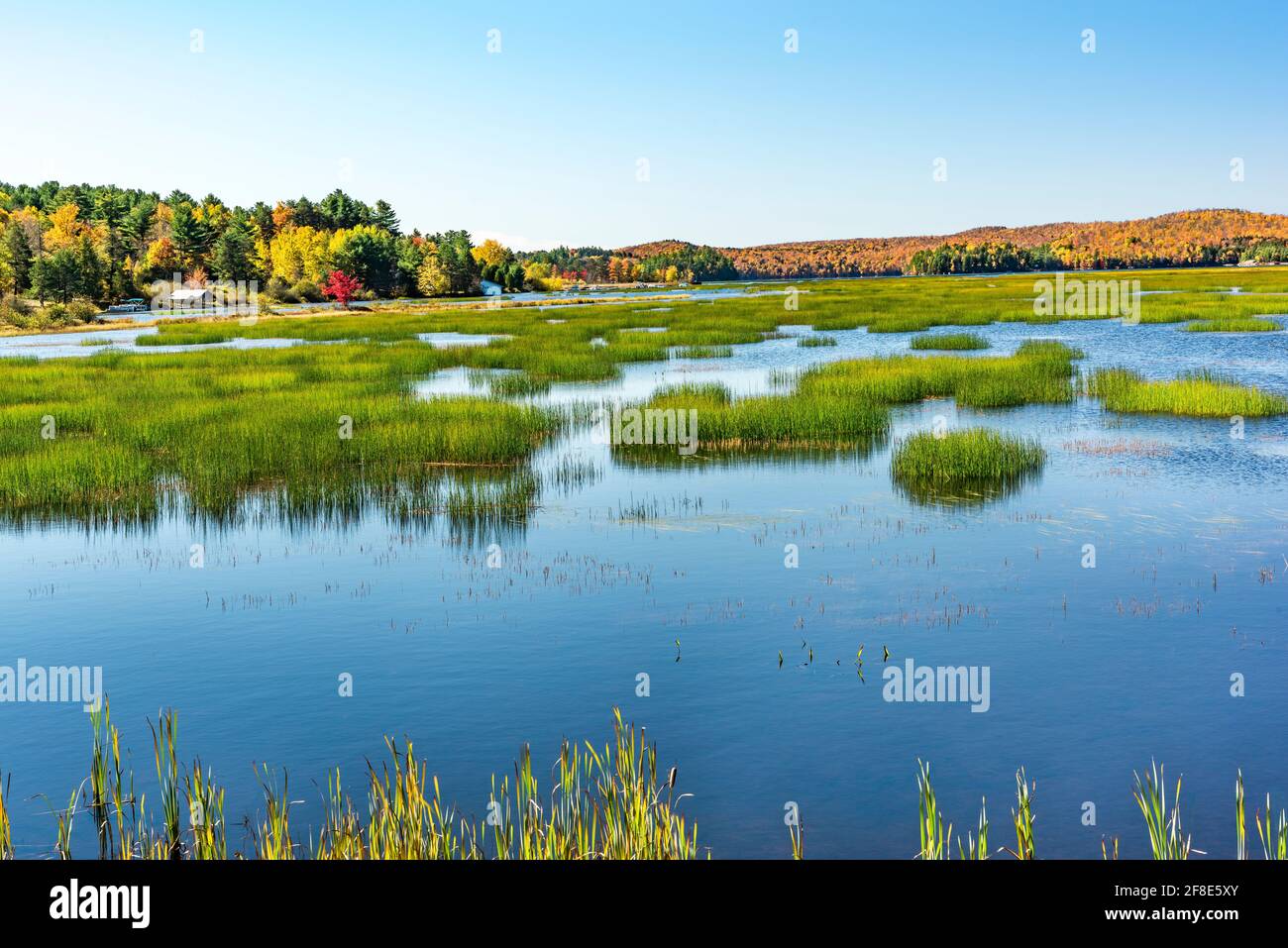 Automne sur le lac Tupper, comté de Franklin, montagnes Adirondack, New York Banque D'Images