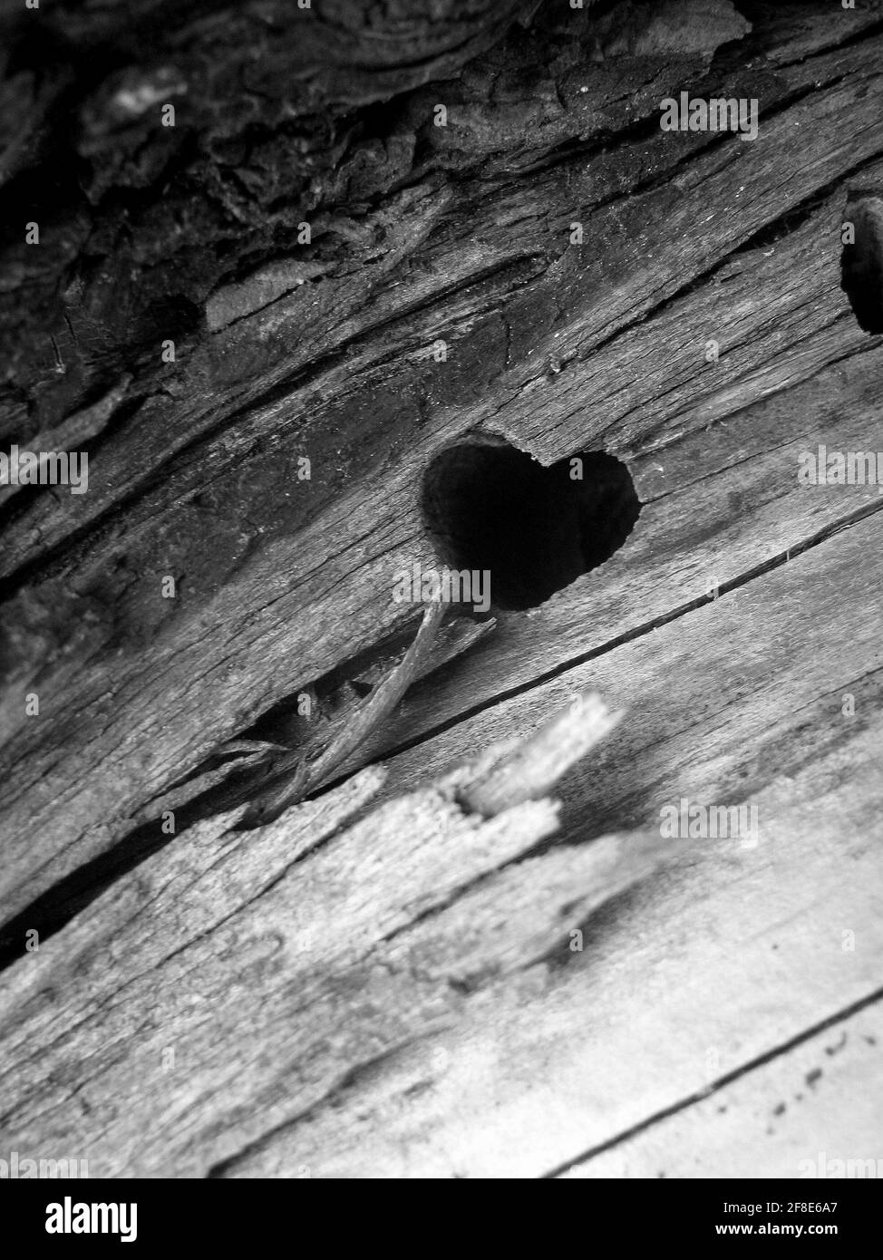 Prise de vue verticale en niveaux de gris d'un trou en forme de cœur sur un bois texture Banque D'Images