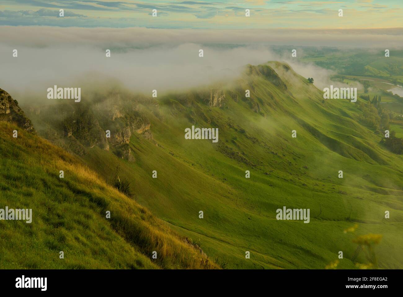 Les sentiers naturels de te Mata Peak sont parfaits pour les randonneurs et les motards de montagne. C'est un excellent entraînement cardio, mais les vues immenses font l'exe Banque D'Images