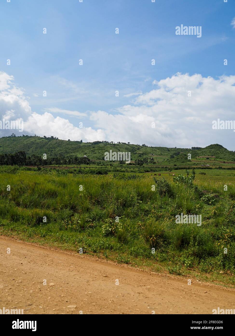 Tanzanie, Afrique - 27 février 2020 : paysage vert luxuriant le long de la route de terre en Tanzanie Banque D'Images