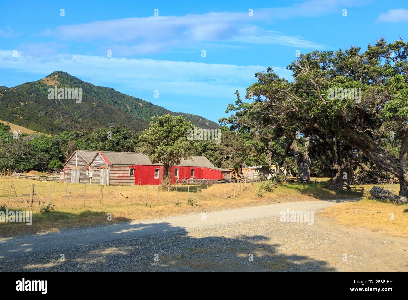 Une paire de vieilles granges en bois à côté d'une route de gravier sur la péninsule de Coromandel, en Nouvelle-Zélande Banque D'Images