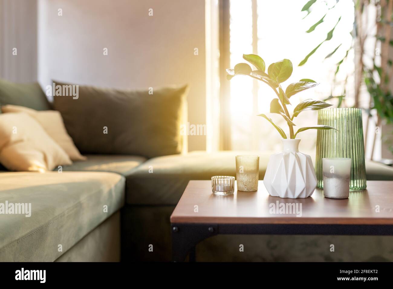 Séjour de détente à la maison de confort avec bougies et vase avec zamioculcas à table en bois. Canapé vert avec oreillers jaunes. Rayons du soleil. Photo de haute qualité Banque D'Images