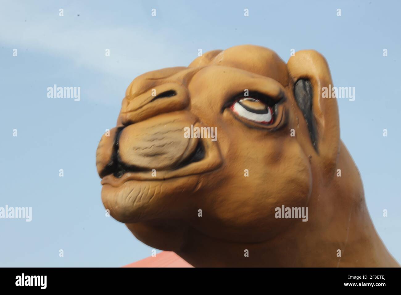 Gros plan sur la statue de Camel Head Banque D'Images Gros plan sur la statue de Camel Head Banque D'Images