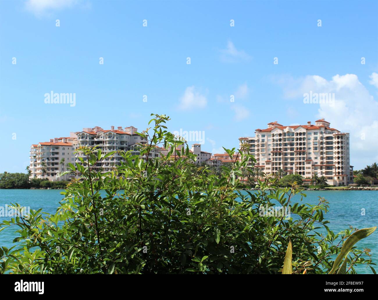 Vue de fond des condominiums Palazzo Del sol à Fisher Island près du port maritime de Miami à South Pointe Beach à Miami Beach, Floride avec un grand arbre Banque D'Images Vue de fond des condominiums Palazzo Del sol à Fisher Island près du port maritime de Miami à South Pointe Beach à Miami Beach, Floride avec un grand arbre Banque D'Images