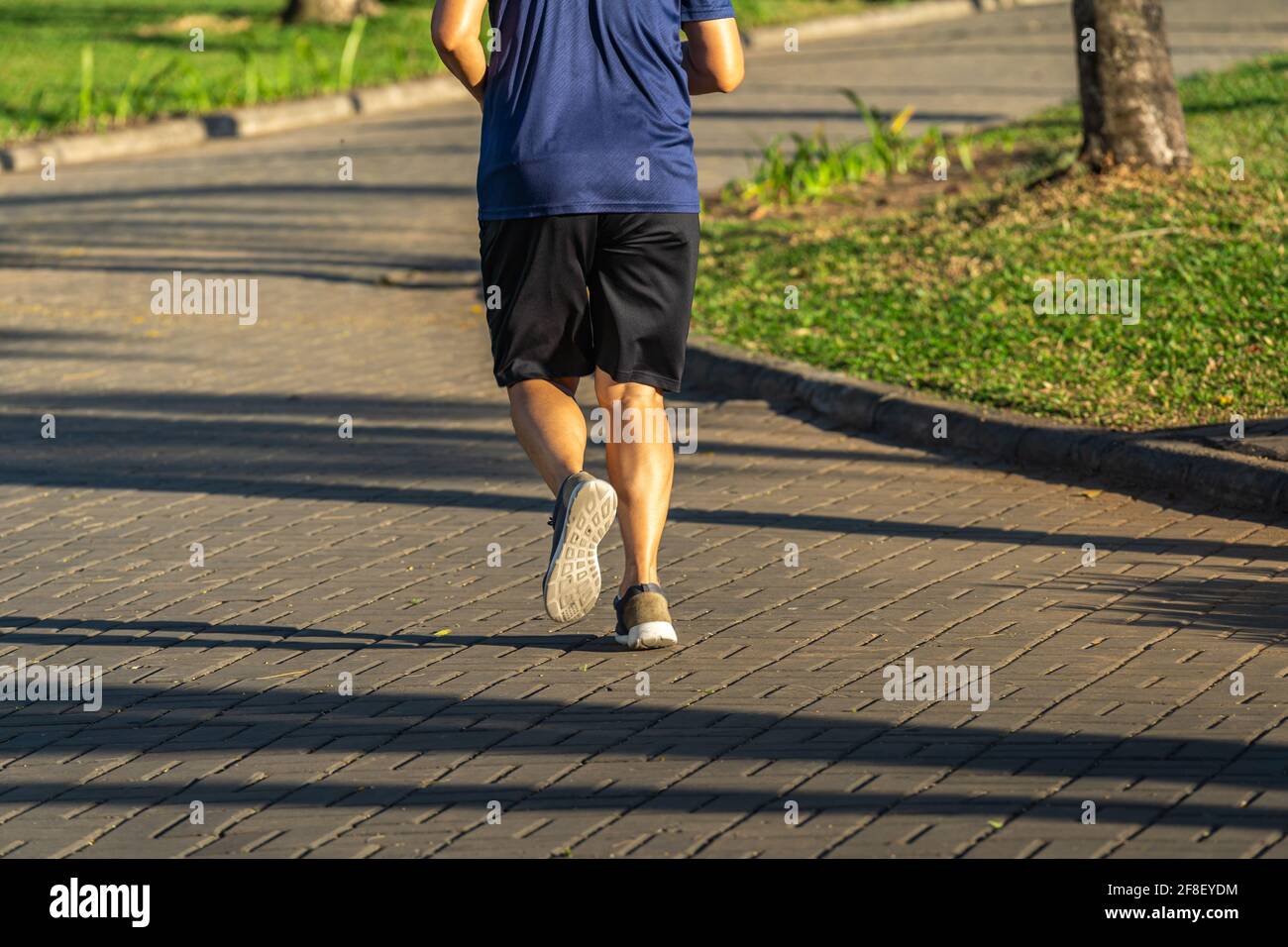 Un jeune homme qui fait du jogging dans le parc le matin ensoleillé Banque D'Images