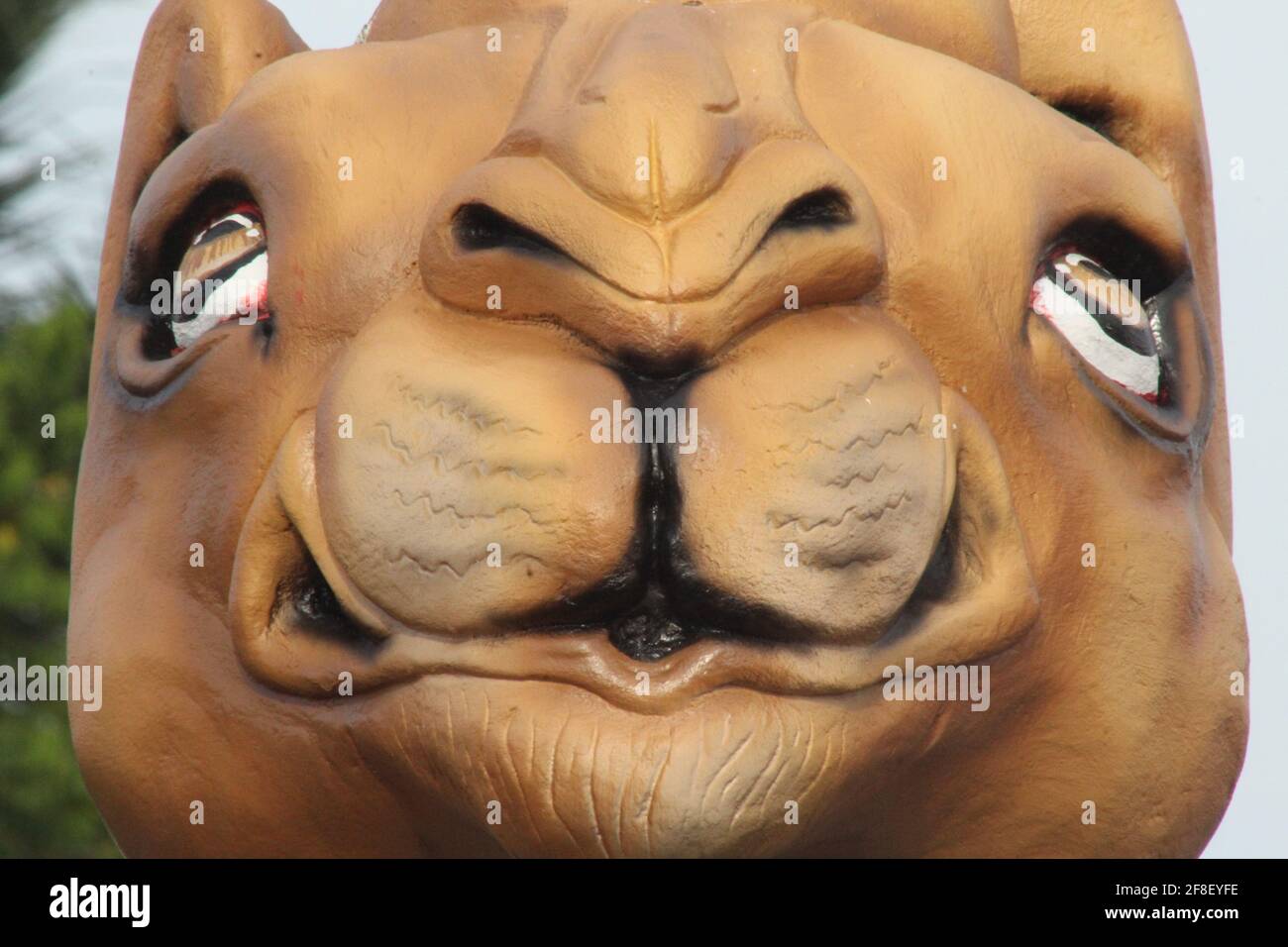 Gros plan sur la statue de Camel Head Banque D'Images Gros plan sur la statue de Camel Head Banque D'Images