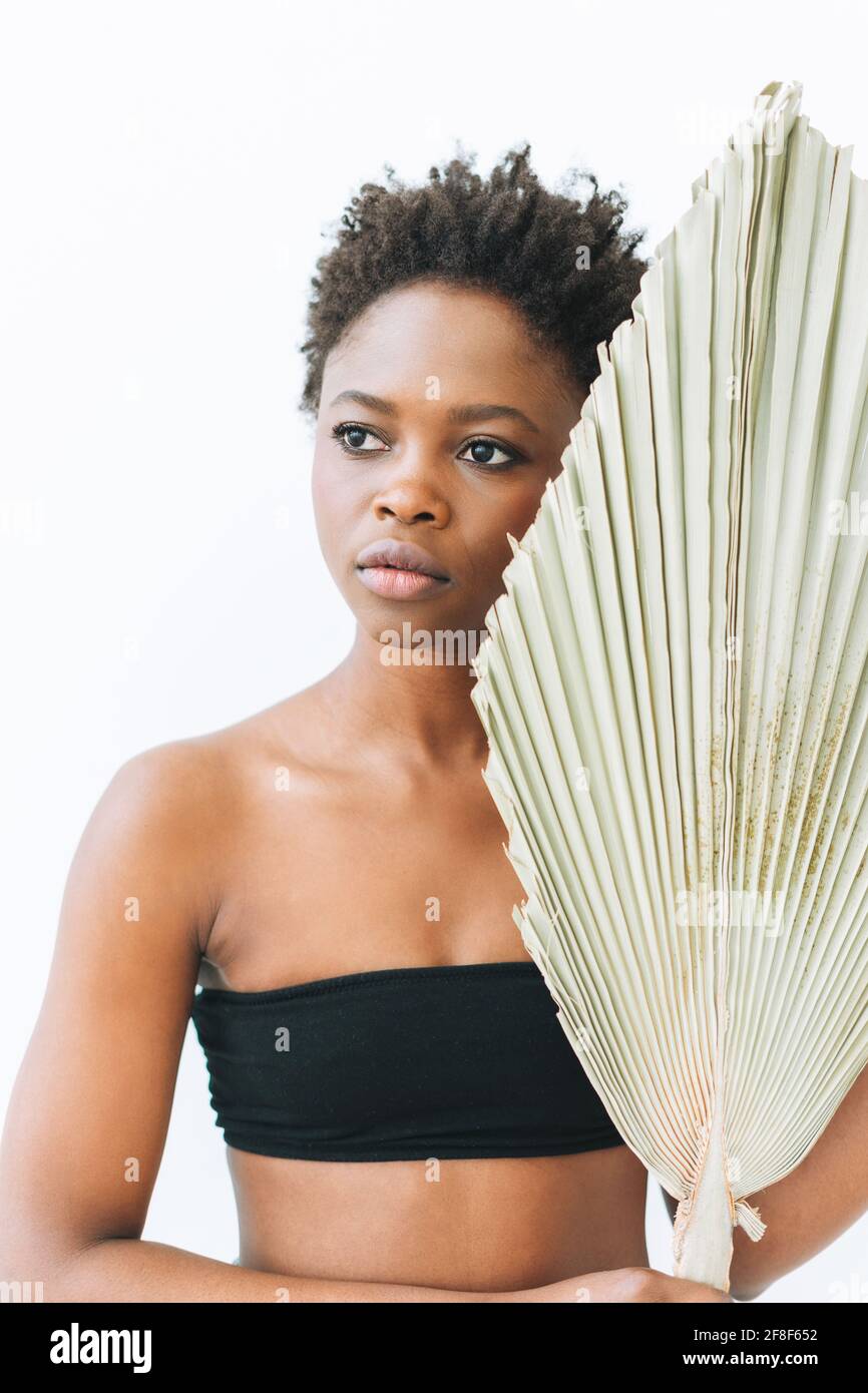 Belle souriante afro-américaine jeune femme beauté modèle de mode avec feuille sèche sur fond blanc, éco concept, nature beauté Banque D'Images