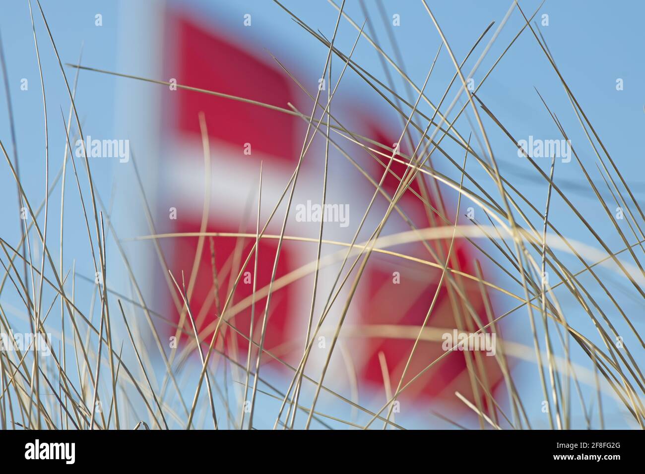 Drapeau danois flou derrière l'herbe des dunes Banque D'Images