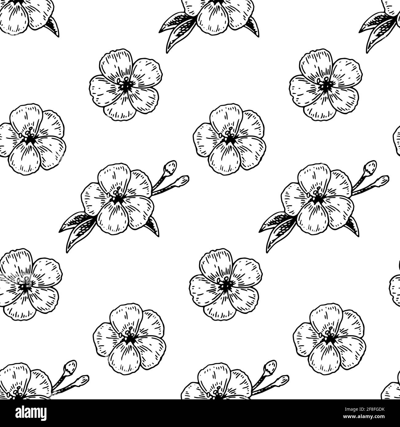 Motif fleurs printanières sans coutures avec éléments dessinés à la main. Illustration vectorielle dans le stile d'esquisse. Illustration de Vecteur