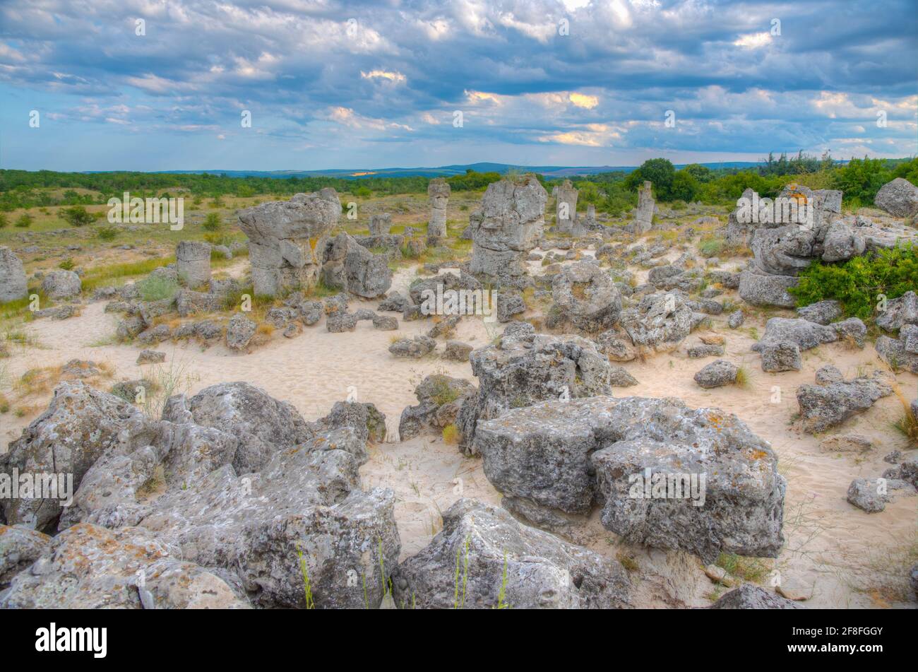 Forêt de pierres près de Varna, Bulgarie Banque D'Images