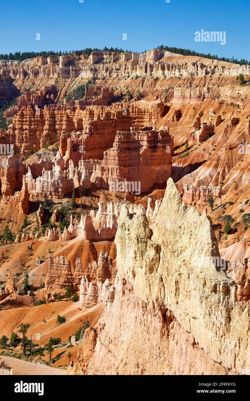 Sunrise point au parc national de Bryce Canyon. Utah États-Unis Banque D'Images