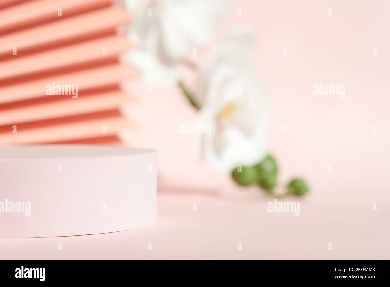 Socle pour support de podium pour la présentation des produits, maquette rose corail pour la marque. Banque D'Images