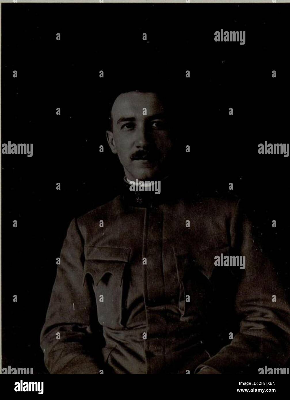 Oberleutnant Dr. Josef Liska, Régiment de l'Artillerie de la Forteresse No 6 les photos ont servi de base à WK1 alb003 00886, un aperçu des officiers et des officiers militaires, qui ont paru pour Noël 1916 Banque D'Images