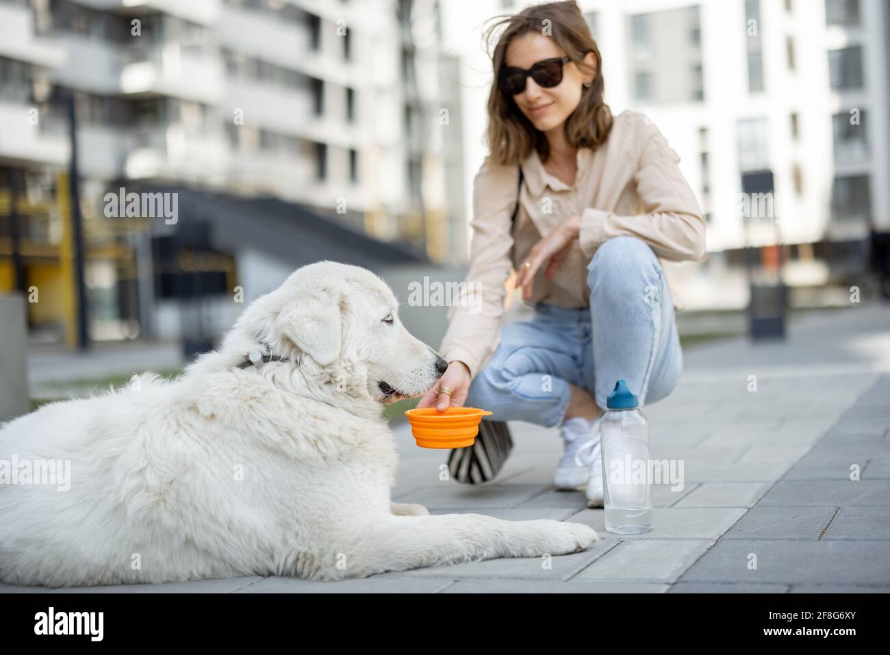 Une femme donne de l'eau dans un bol à son grand chien blanc tout en étant assise sur un banc dans la cour de la résidence. Soins pour animaux, amoureux des animaux. Banque D'Images