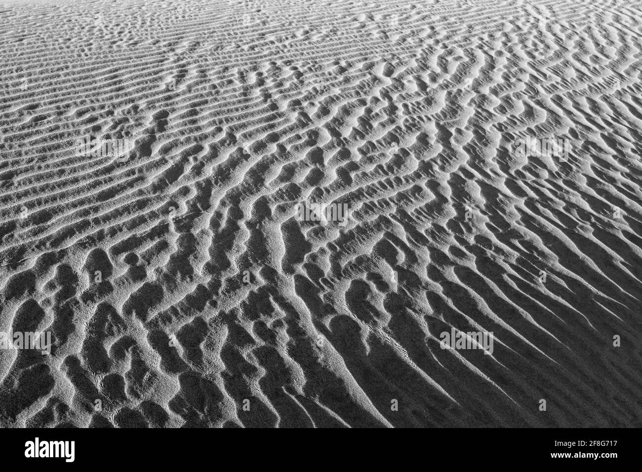 dunes de sable en arabie saoudite Banque D'Images