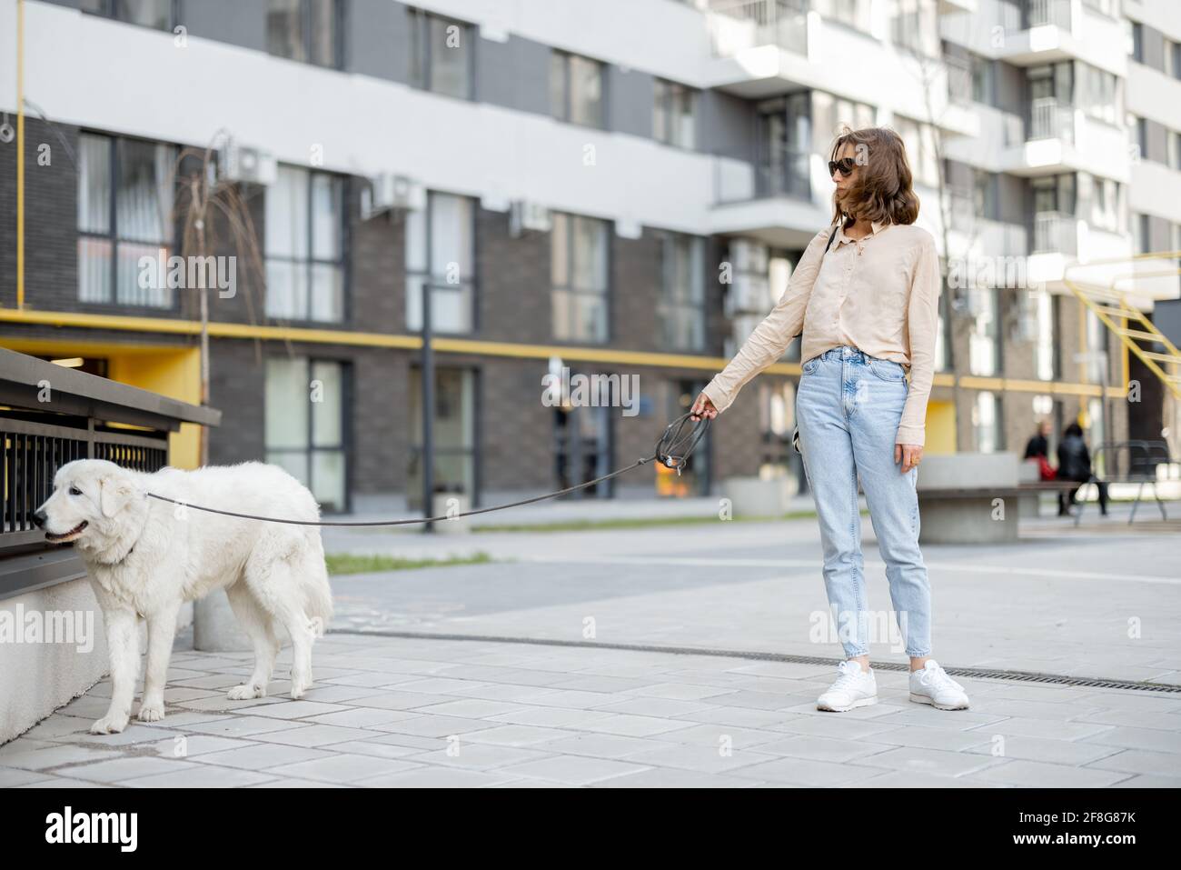 Une femme joyeuse marchant avec son grand chien blanc sur une laisse dans la rue près de la résidence. Animaux acceptés et concept de soins pour animaux. Amoureux des animaux. Banque D'Images