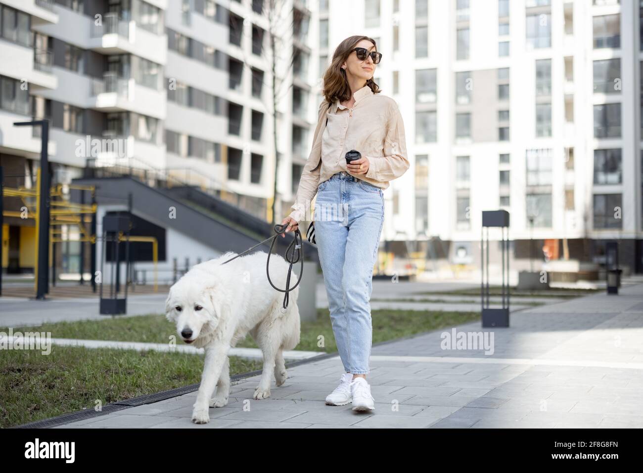 Une femme joyeuse marchant avec son grand chien blanc sur une laisse dans la rue près de la résidence tout en prenant un café. Animaux acceptés et concept de soins pour animaux. Amoureux des animaux. Banque D'Images