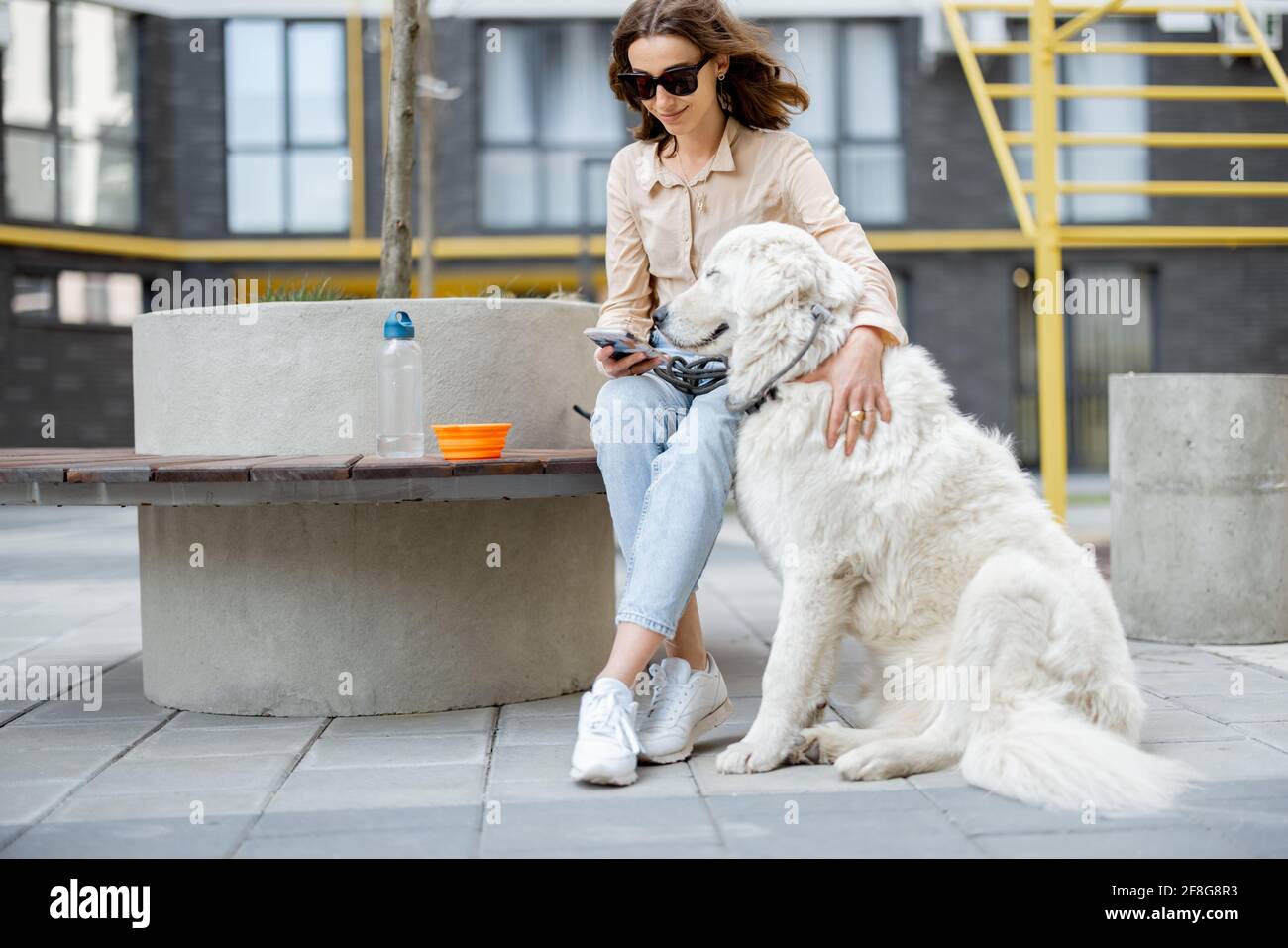 Femme gaie assise sur un banc avec un grand chien blanc dans la cour de la résidence tout en utilisant le téléphone. Amoureux des animaux, propriétaire acceptant les animaux. Banque D'Images