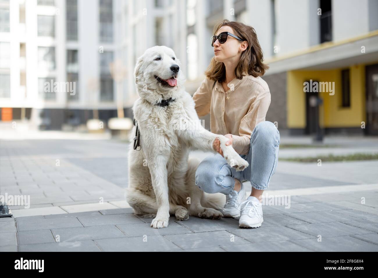 Une femme joyeuse joue et se hale avec son grand chien blanc heureux dans la rue. Animaux acceptés et concept de soins pour animaux. Amoureux des animaux. Chien donne un patte Banque D'Images