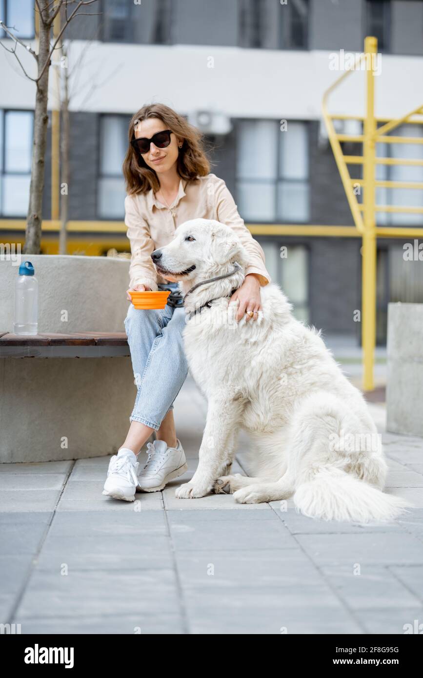 Une femme donne de l'eau dans un bol à son grand chien blanc tout en étant assise sur un banc dans la cour de la résidence. Soins pour animaux, amoureux des animaux. Banque D'Images