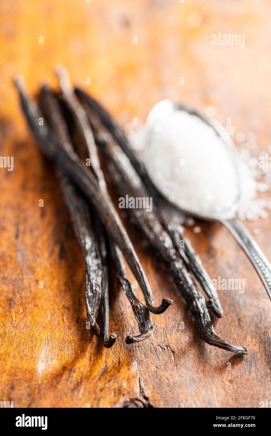 Gousses de vanille. Bâtonnets de vanille avec sucre blanc. Banque D'Images