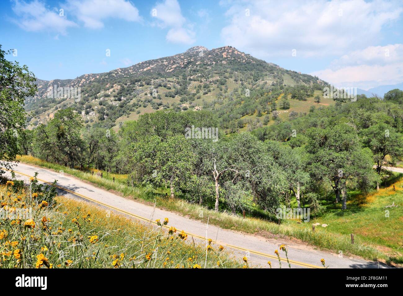 Route rurale américaine - paysage de la campagne de la Californie à l'heure du printemps. La Californie rurale. Banque D'Images
