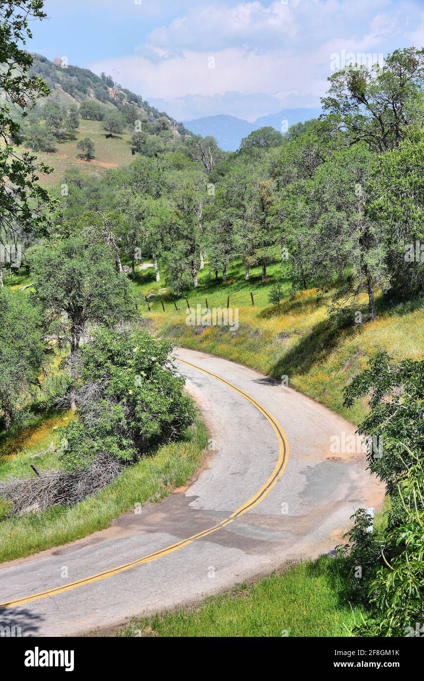 Route rurale américaine - paysage de la campagne de la Californie à l'heure du printemps. La Californie rurale. Banque D'Images