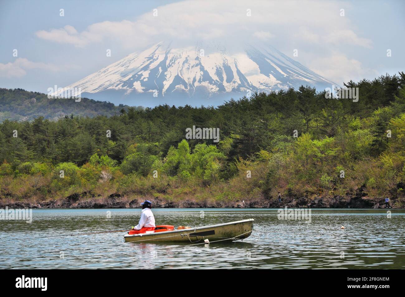 Mont Fuji au Japon. Vue sur le Mont Fuji depuis le lac Saiko, l'un des célèbres lacs Fuji Five. Banque D'Images