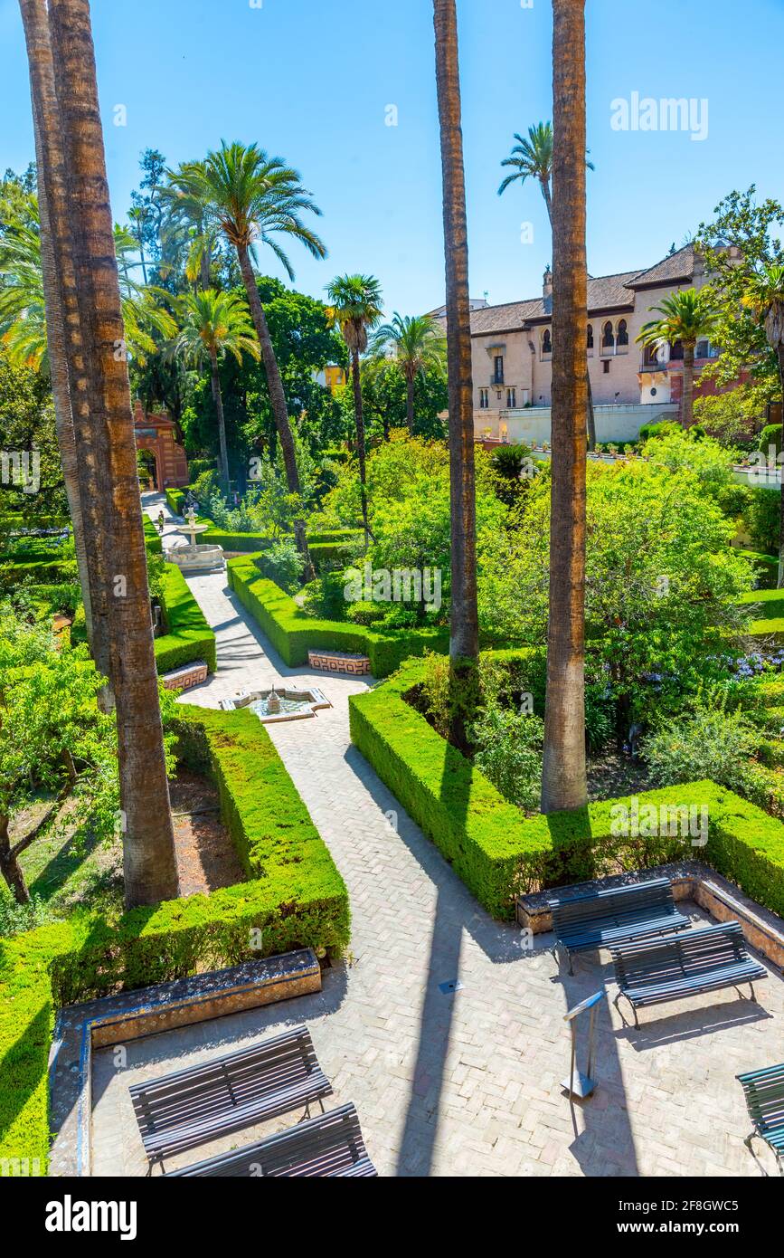 Beau jardin attenant à la Galeria de Grutesco au Real Alcazar De Sevilla en  Espagne Photo Stock - Alamy