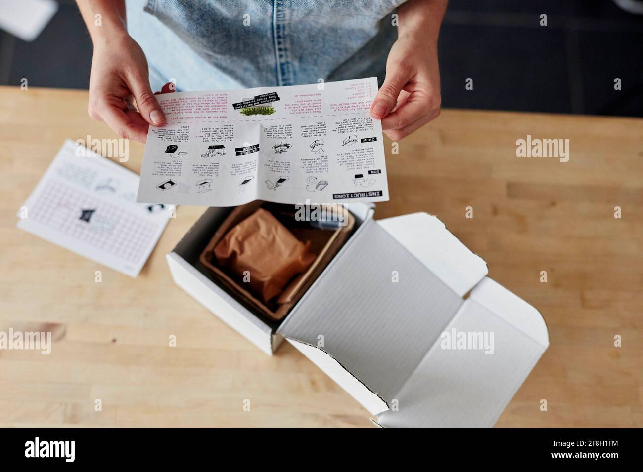 En regardant les instructions pour la culture de micro-verts à l'aide de kit à la maison, tourné par le dessus Banque D'Images