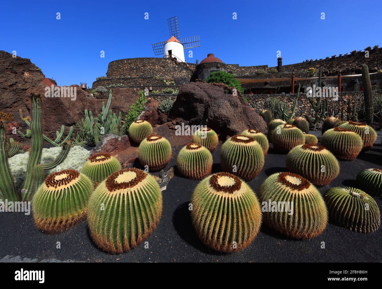 Bateau à quille, gofio moulin, jardin de cactus jardin de cactus à Guatiza, Lanzarote, îles canaries, espagne Banque D'Images