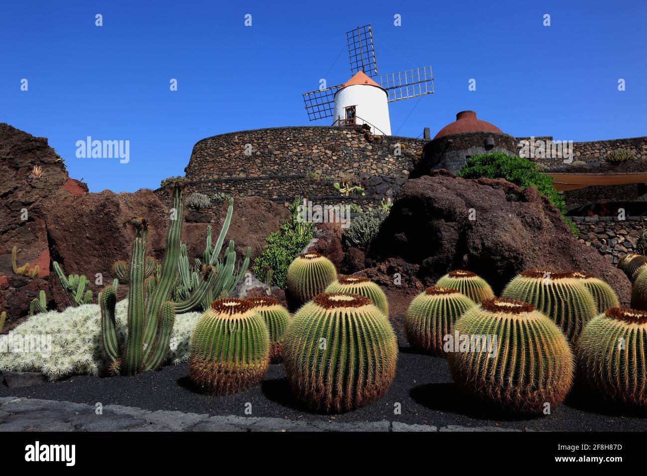 Bateau à quille, gofio moulin, jardin de cactus jardin de cactus à Guatiza, Lanzarote, îles canaries, espagne Banque D'Images