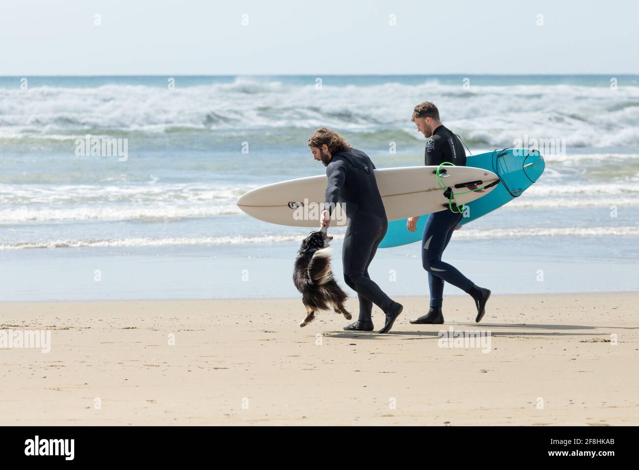 Garrettstown, Cork, Irlande. 14 avril 2021. Les surfeurs se dirigent vers la mer avec leur chien excitée à Garrettstown, Co. Cork, Irlande.- Credit; David Creedon / Alay Live News Banque D'Images