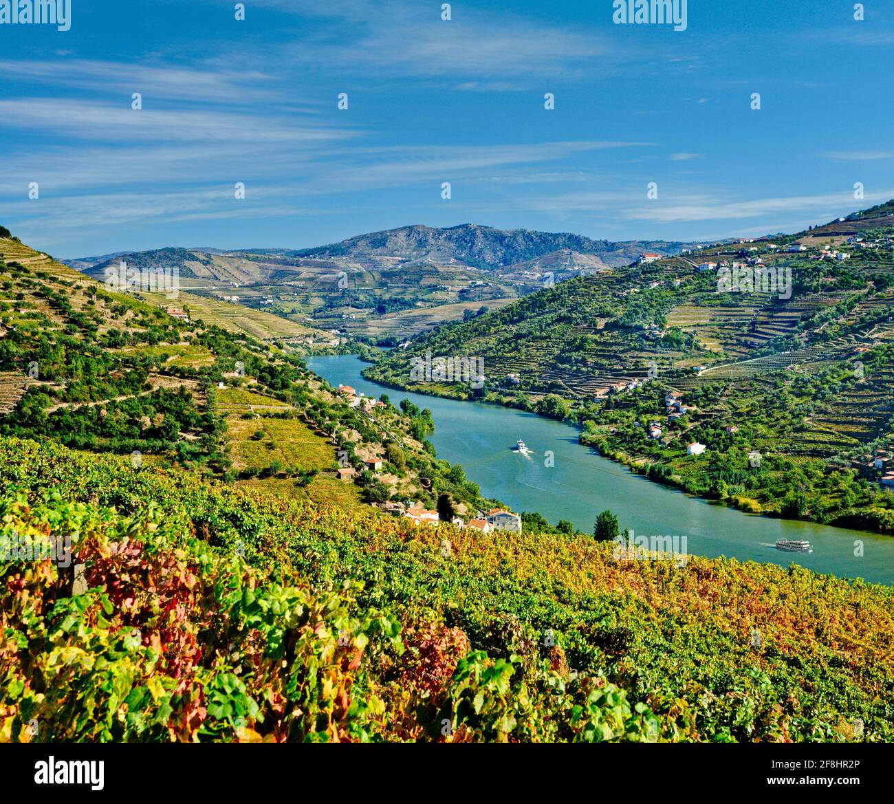 Les vignobles de la vallée du Douro près de Peso da Regua Banque D'Images