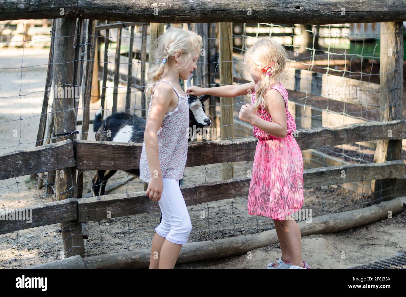 adorables petites filles blondes caressant la chèvre noire Banque D'Images