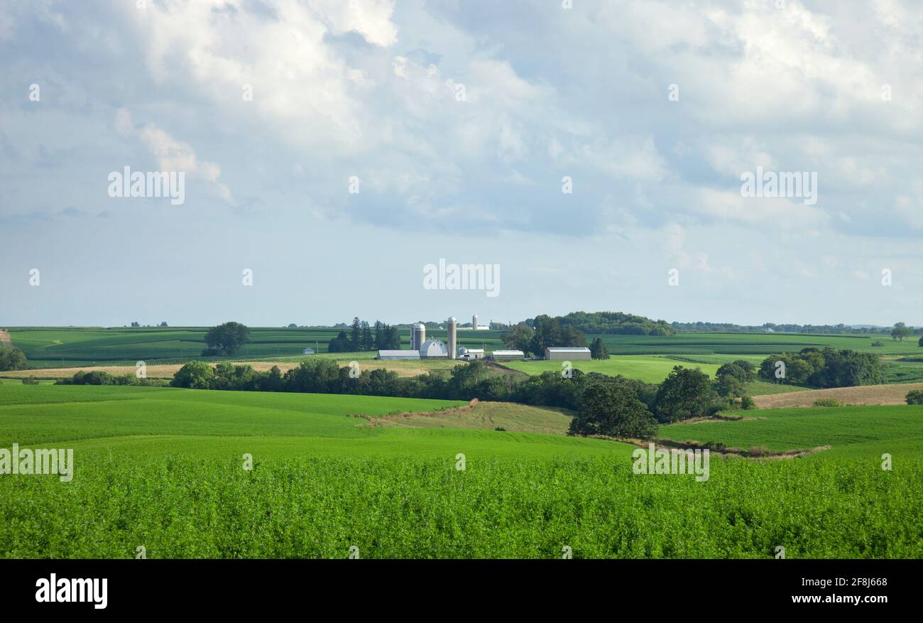 Paysage rural avec fermes et champs dans le sud du Minnesota un après-midi ensoleillé Banque D'Images