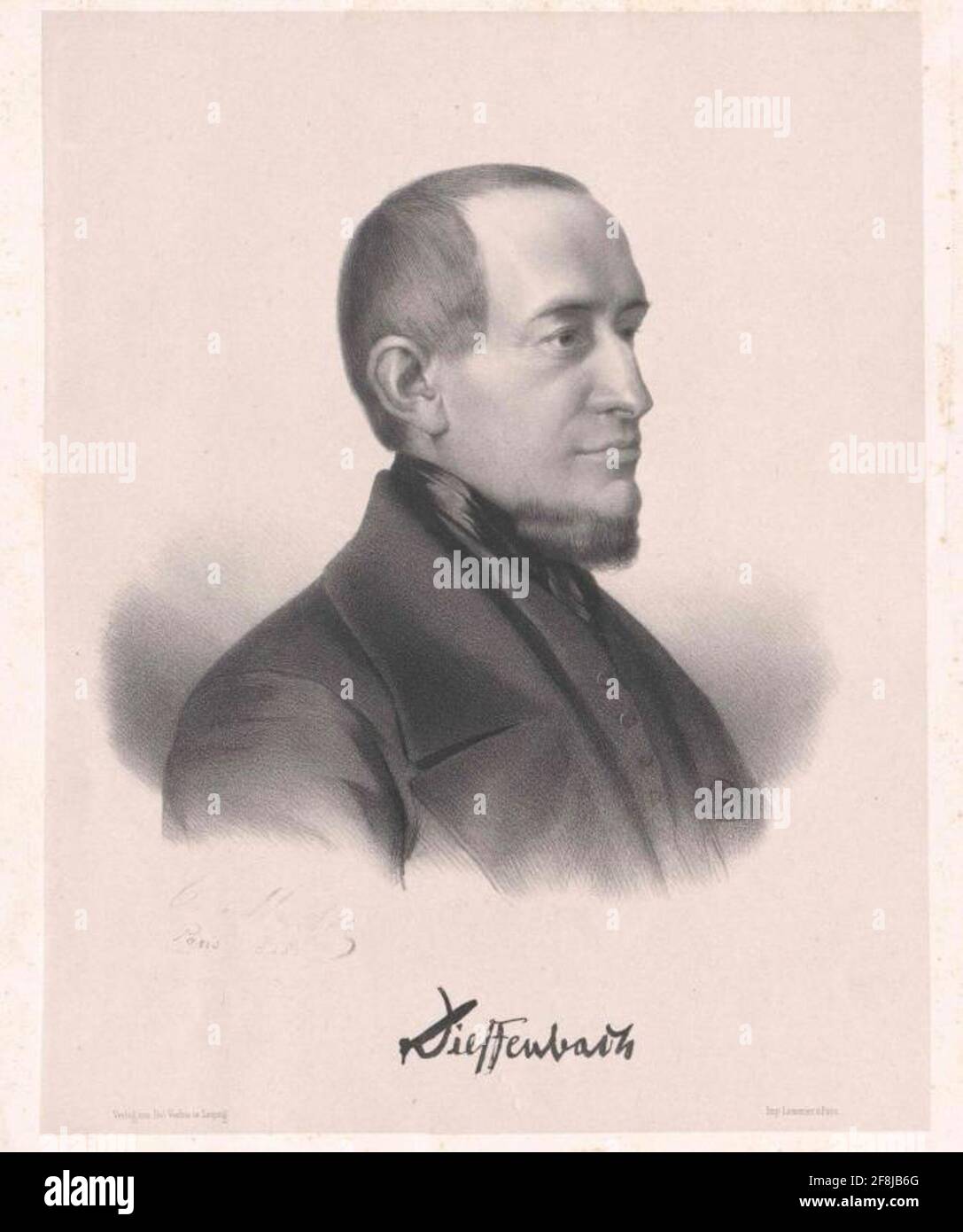 Dieffenbach, Johann Friedrich . Banque D'Images