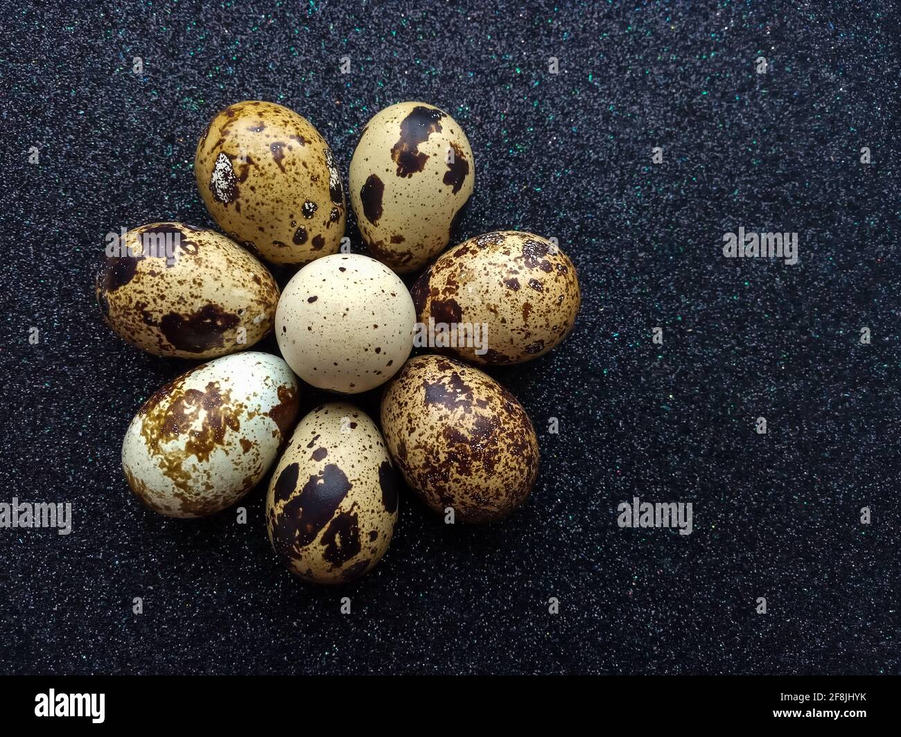 huit œufs de caille en forme de fleur gros plan sur fond noir Banque D'Images