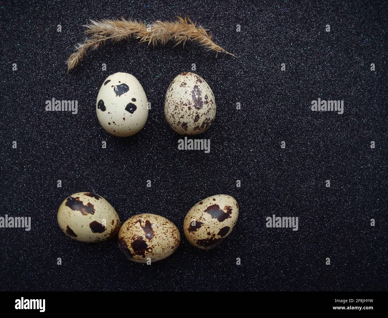 cinq œufs de caille sous forme de sourire un gros plan noir Banque D'Images
