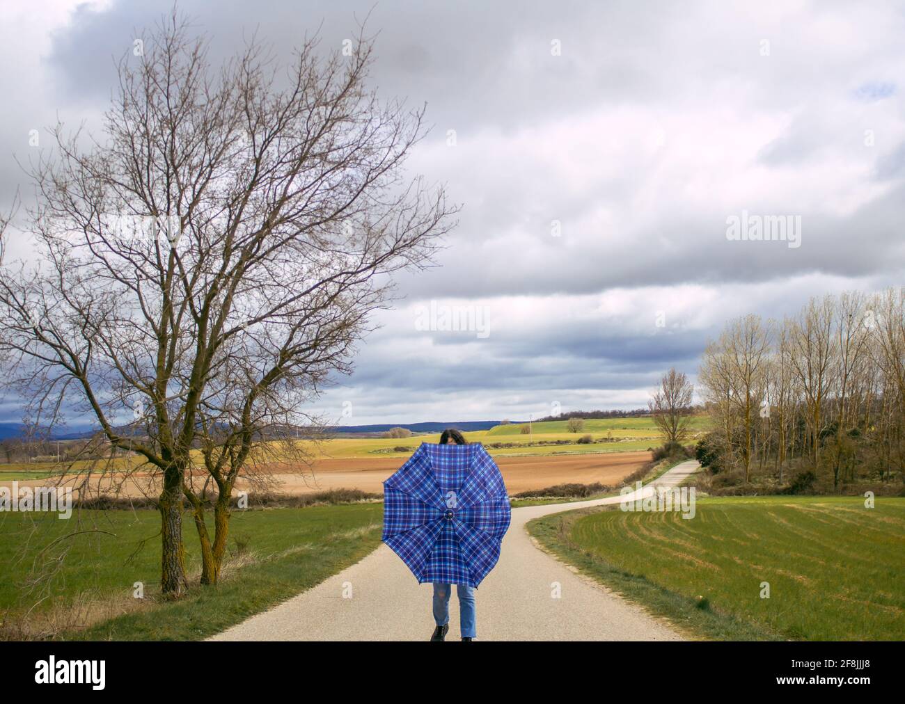 femme avec un parapluie au milieu de la route entouré par le champ Banque D'Images femme avec un parapluie au milieu de la route entouré par le champ Banque D'Images