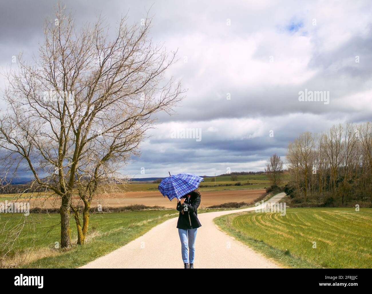 femme avec un parapluie au milieu de la route entouré par le champ Banque D'Images femme avec un parapluie au milieu de la route entouré par le champ Banque D'Images